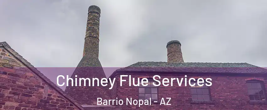 Chimney Flue Services Barrio Nopal - AZ