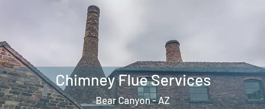 Chimney Flue Services Bear Canyon - AZ