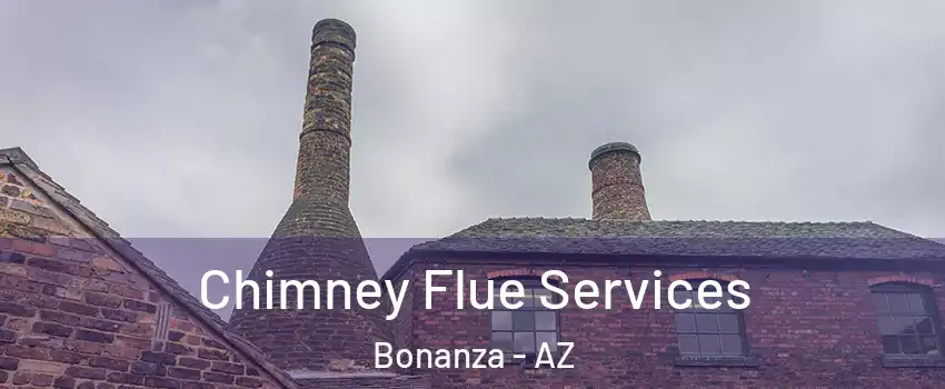 Chimney Flue Services Bonanza - AZ