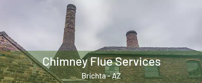 Chimney Flue Services Brichta - AZ