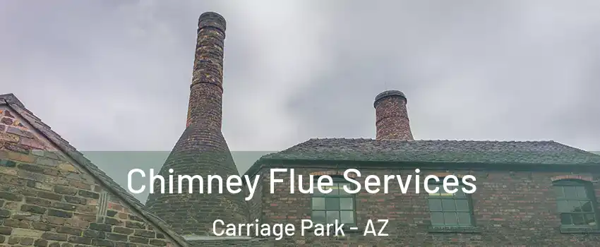 Chimney Flue Services Carriage Park - AZ