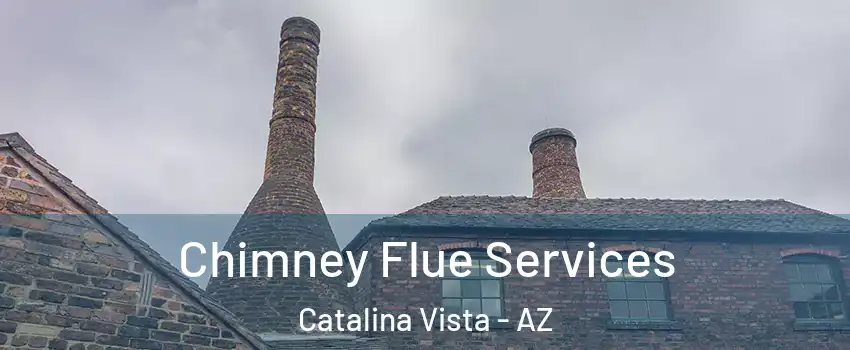 Chimney Flue Services Catalina Vista - AZ