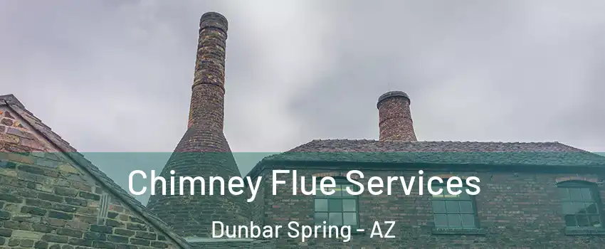 Chimney Flue Services Dunbar Spring - AZ
