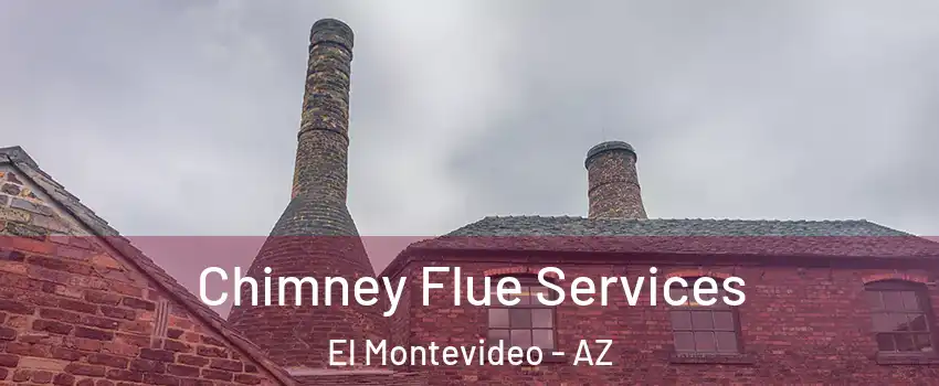Chimney Flue Services El Montevideo - AZ