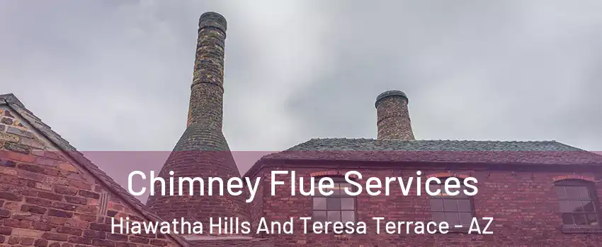 Chimney Flue Services Hiawatha Hills And Teresa Terrace - AZ