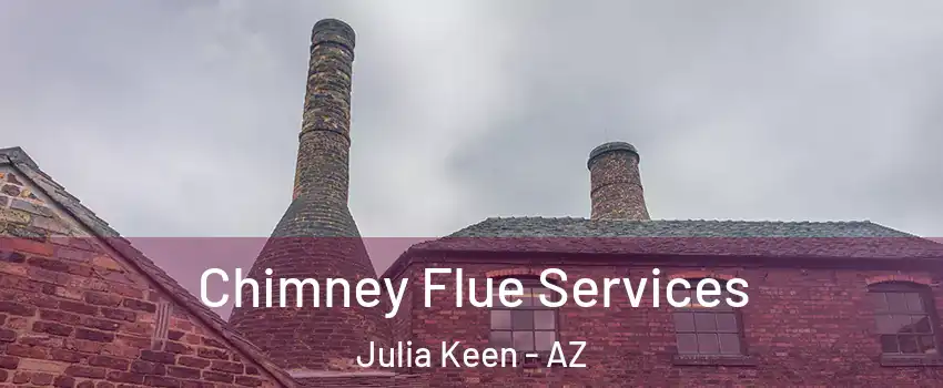 Chimney Flue Services Julia Keen - AZ