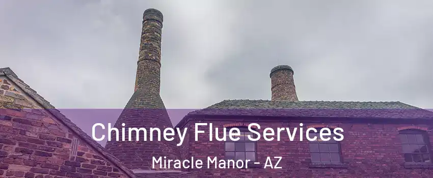Chimney Flue Services Miracle Manor - AZ