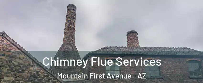 Chimney Flue Services Mountain First Avenue - AZ