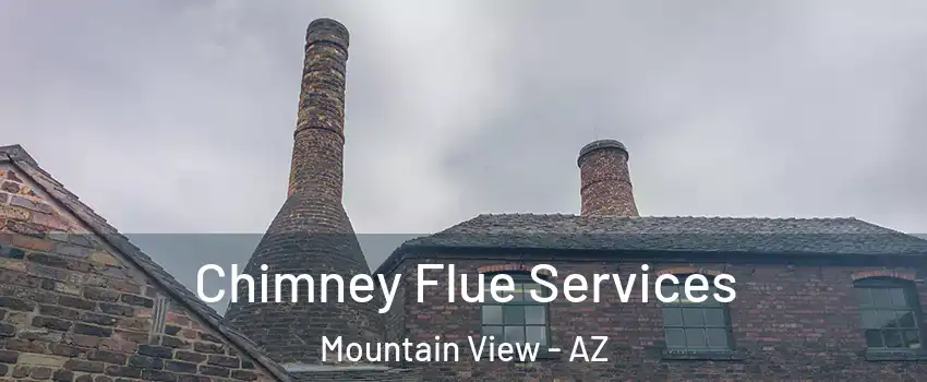 Chimney Flue Services Mountain View - AZ