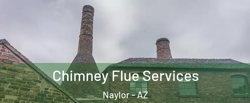 Chimney Flue Services Naylor - AZ