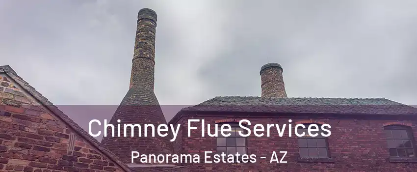 Chimney Flue Services Panorama Estates - AZ
