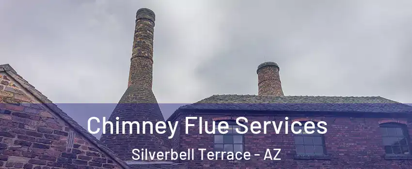 Chimney Flue Services Silverbell Terrace - AZ