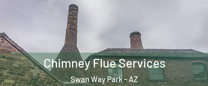 Chimney Flue Services Swan Way Park - AZ