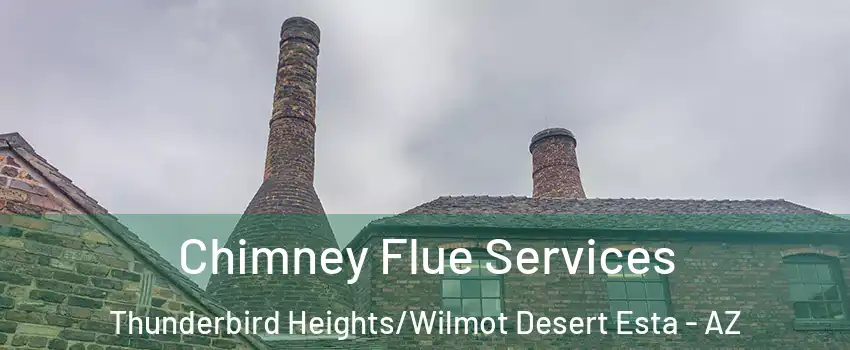 Chimney Flue Services Thunderbird Heights/Wilmot Desert Esta - AZ