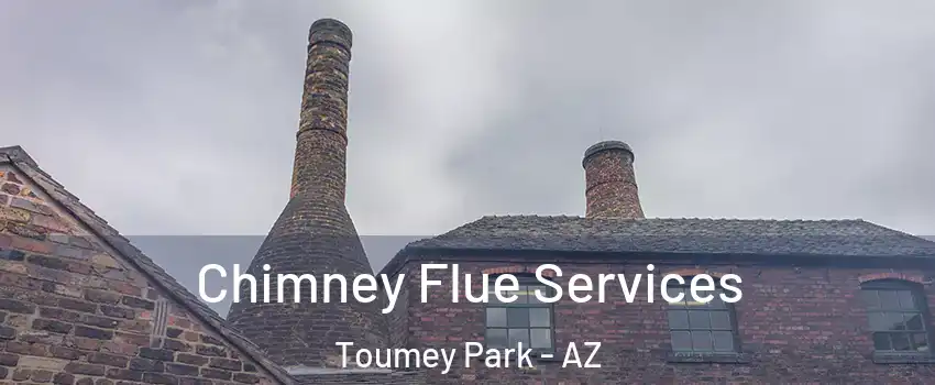 Chimney Flue Services Toumey Park - AZ