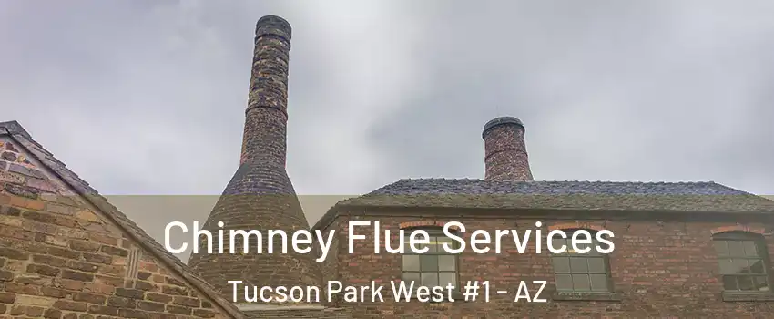 Chimney Flue Services Tucson Park West #1 - AZ