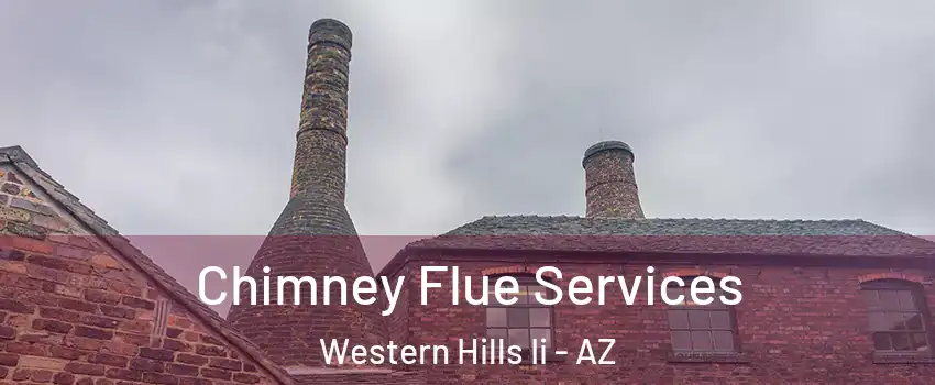 Chimney Flue Services Western Hills Ii - AZ