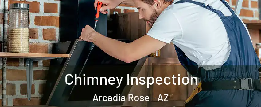 Chimney Inspection Arcadia Rose - AZ