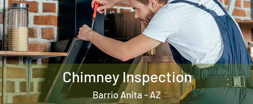 Chimney Inspection Barrio Anita - AZ
