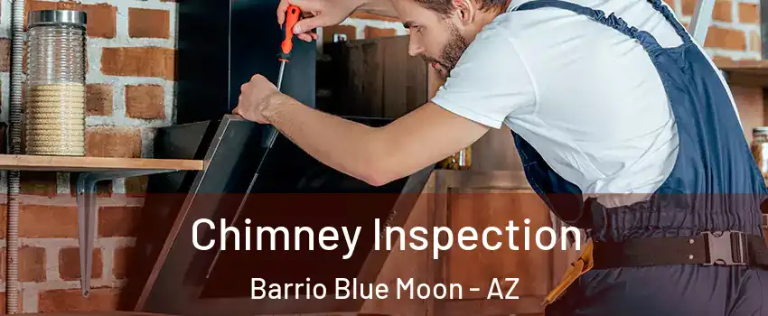 Chimney Inspection Barrio Blue Moon - AZ