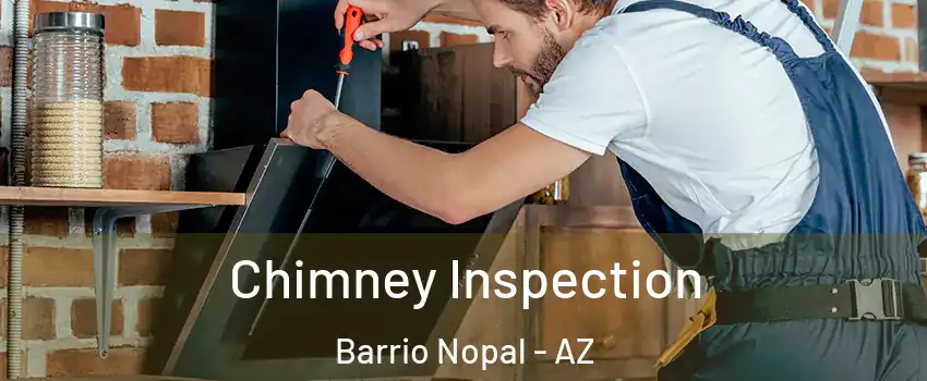 Chimney Inspection Barrio Nopal - AZ