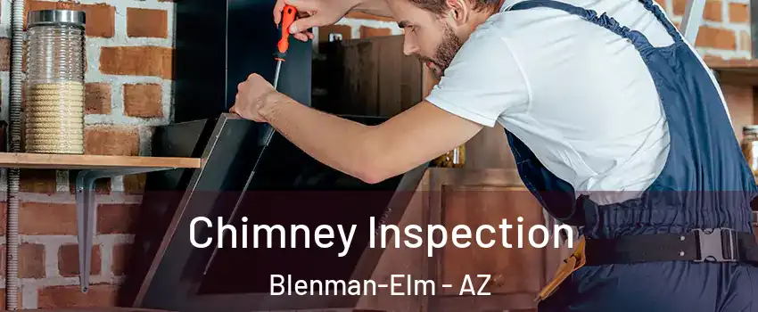 Chimney Inspection Blenman-Elm - AZ