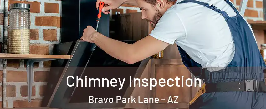 Chimney Inspection Bravo Park Lane - AZ