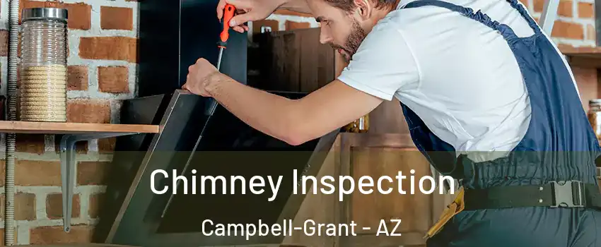 Chimney Inspection Campbell-Grant - AZ