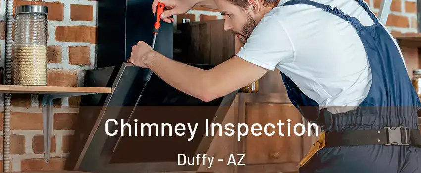 Chimney Inspection Duffy - AZ