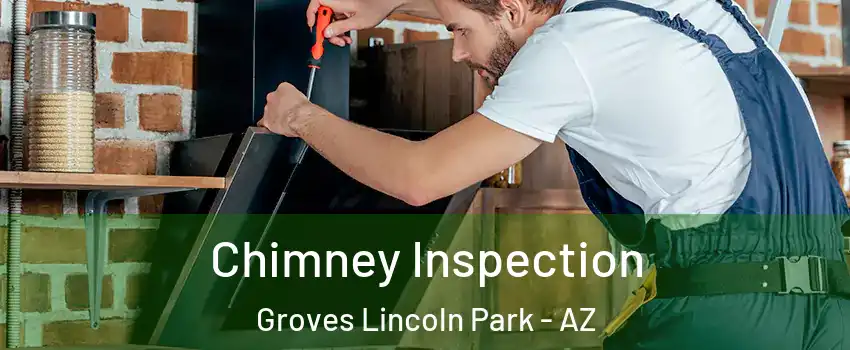Chimney Inspection Groves Lincoln Park - AZ