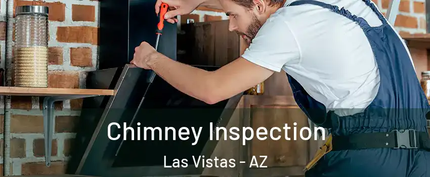 Chimney Inspection Las Vistas - AZ