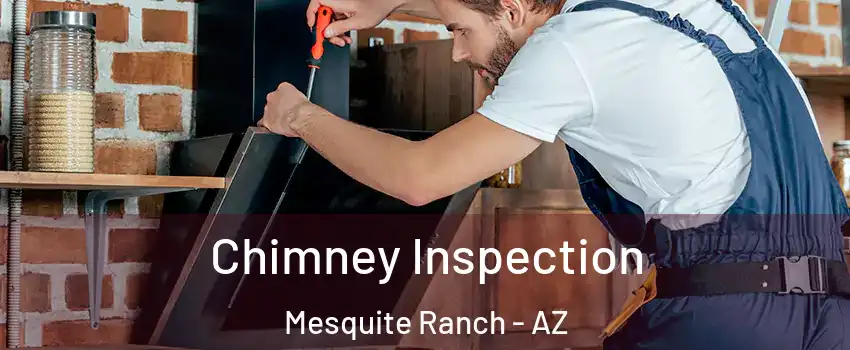 Chimney Inspection Mesquite Ranch - AZ