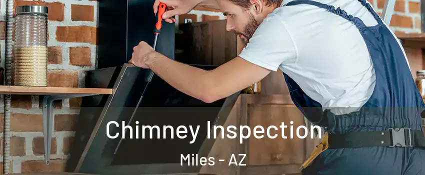 Chimney Inspection Miles - AZ