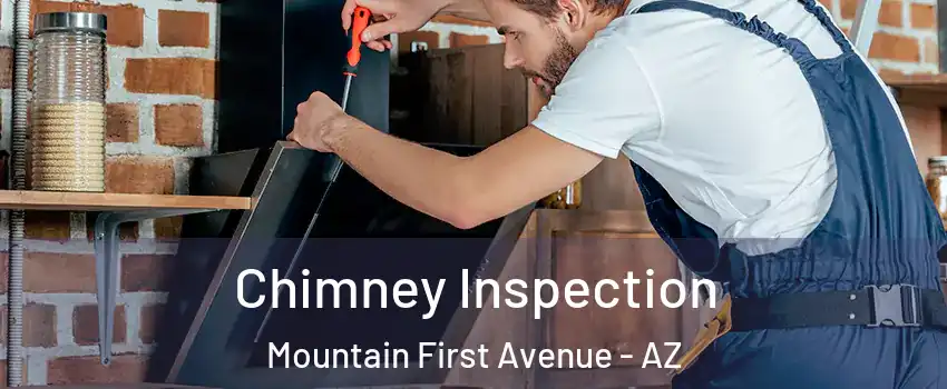 Chimney Inspection Mountain First Avenue - AZ