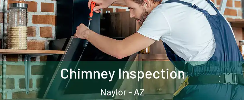 Chimney Inspection Naylor - AZ