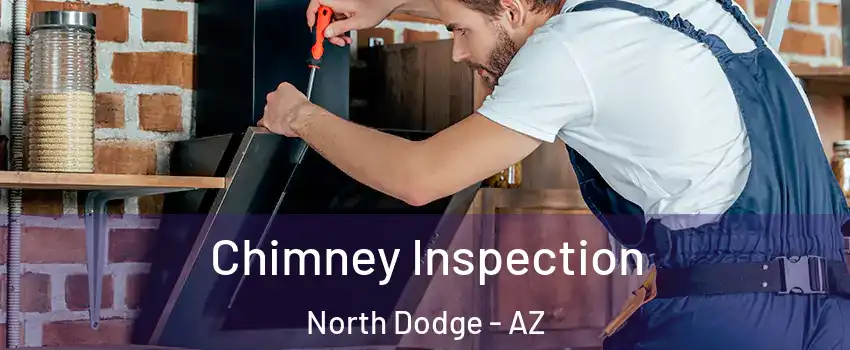 Chimney Inspection North Dodge - AZ