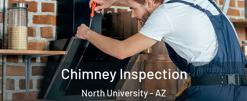 Chimney Inspection North University - AZ