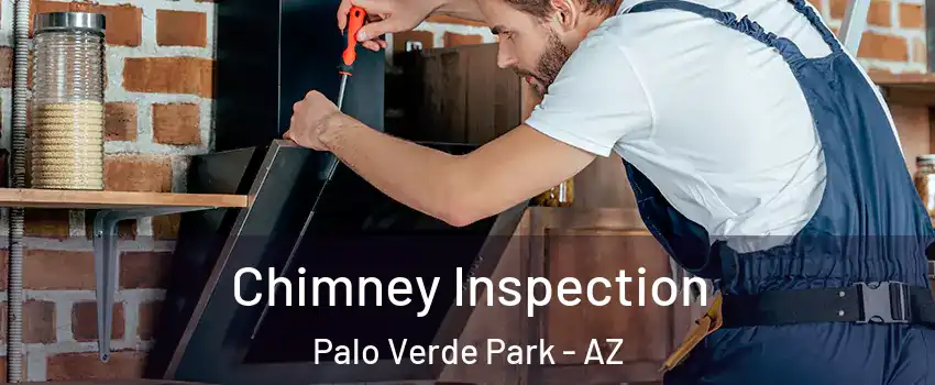 Chimney Inspection Palo Verde Park - AZ