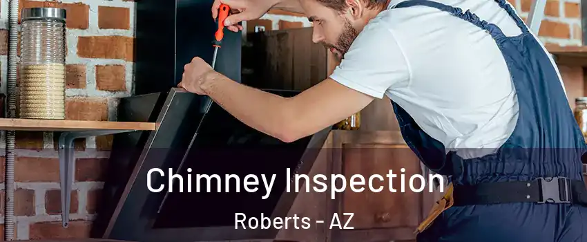 Chimney Inspection Roberts - AZ
