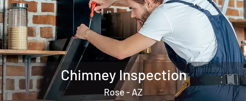 Chimney Inspection Rose - AZ