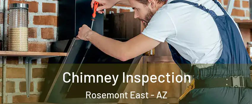Chimney Inspection Rosemont East - AZ
