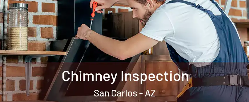 Chimney Inspection San Carlos - AZ