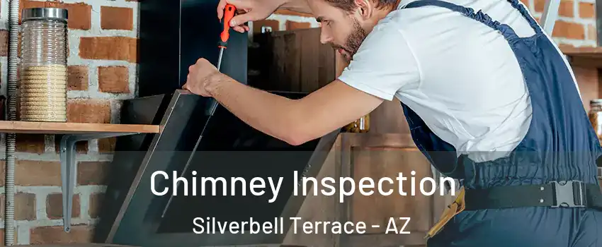 Chimney Inspection Silverbell Terrace - AZ