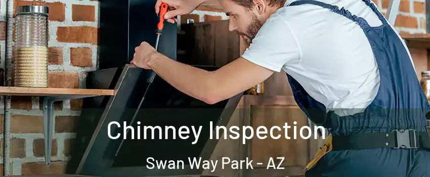 Chimney Inspection Swan Way Park - AZ