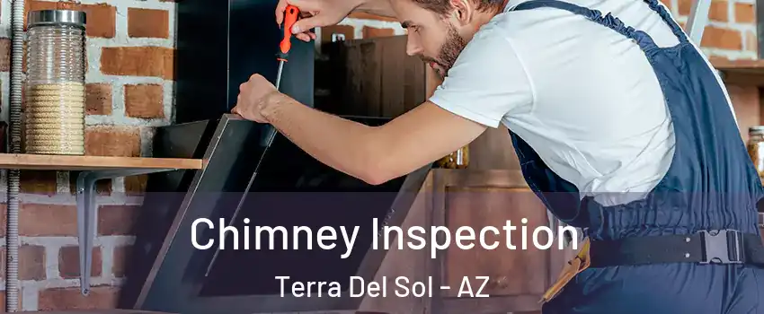 Chimney Inspection Terra Del Sol - AZ