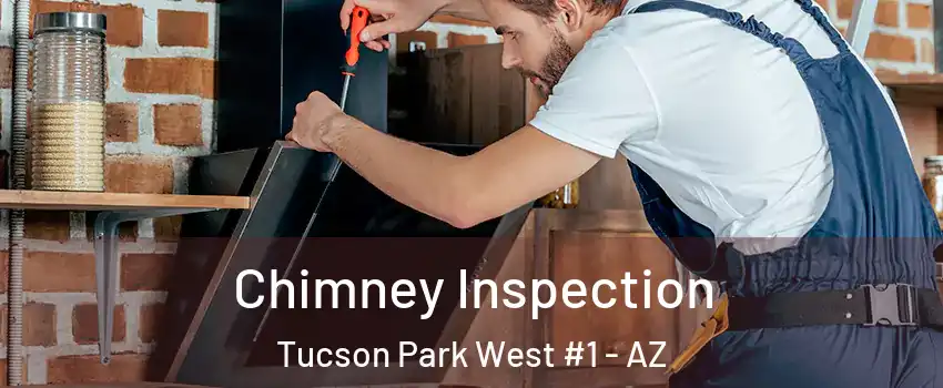 Chimney Inspection Tucson Park West #1 - AZ