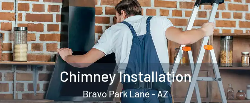 Chimney Installation Bravo Park Lane - AZ