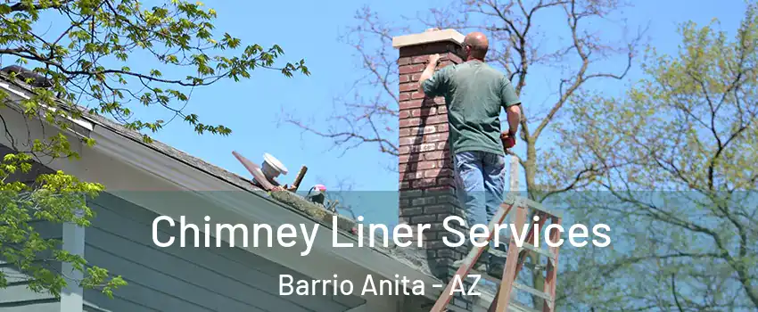 Chimney Liner Services Barrio Anita - AZ