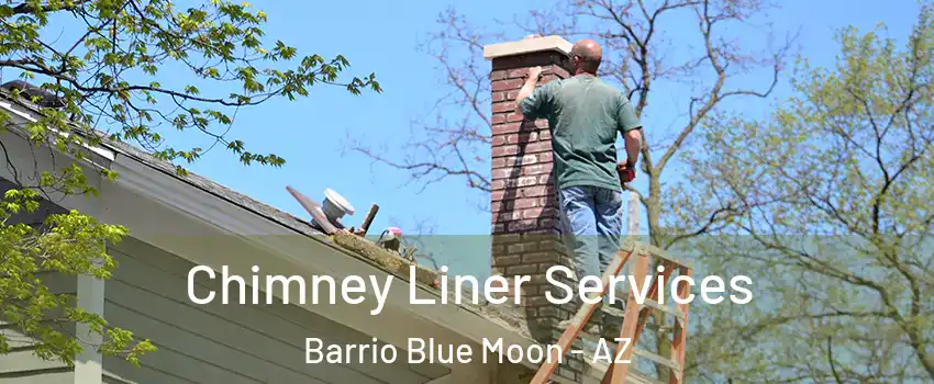 Chimney Liner Services Barrio Blue Moon - AZ