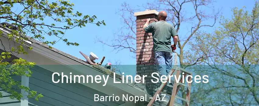 Chimney Liner Services Barrio Nopal - AZ